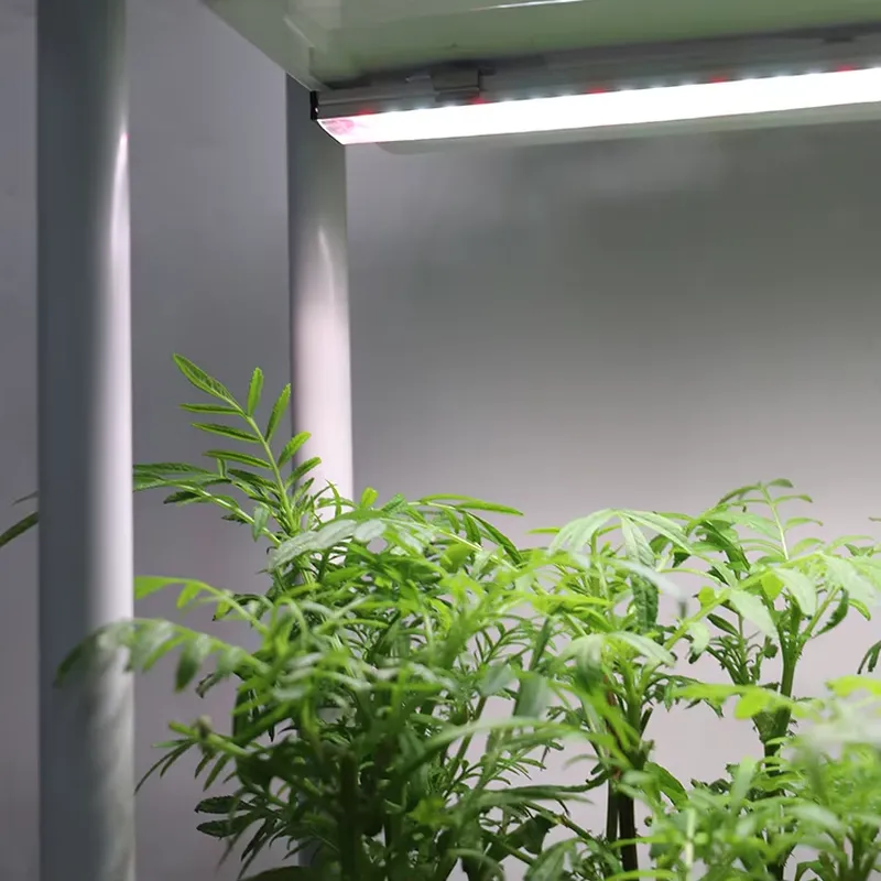 Self-Watering Planter - Rak Tanaman Vertikal 3 Tingkat yang