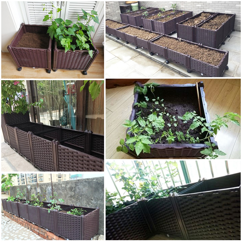 Kotak Tanaman Tinggi dengan Si - Self-Watering Planter ulasan dan harga